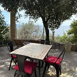 Tra Gli Ulivi