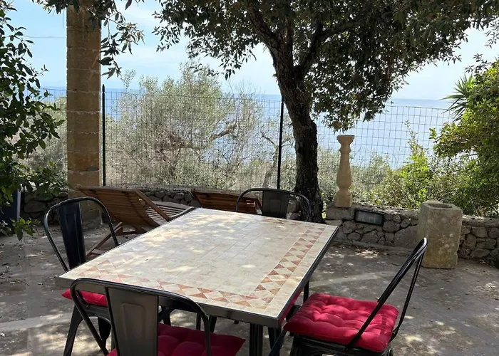 Tra Gli Ulivi